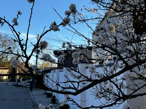 будинок за адресою Самар (Новомосковськ), Садова, 14