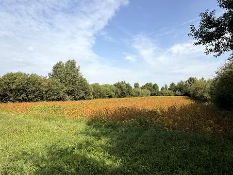 дом по адресу Лесі Українки