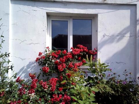 дом по адресу Звёздная ул.