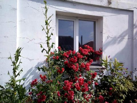 дом по адресу Звёздная ул.