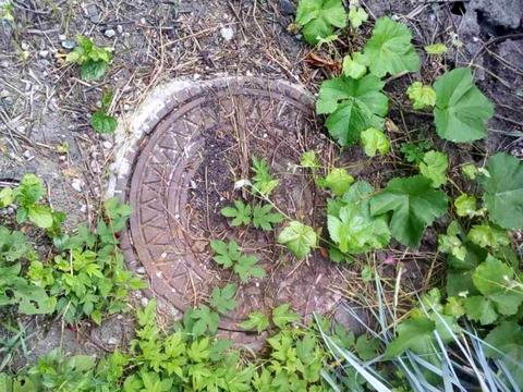 дом по адресу Звёздная ул.