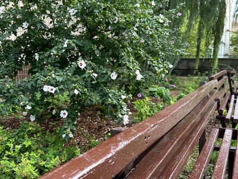 квартира по адресу Тарасовская ул., 36-А