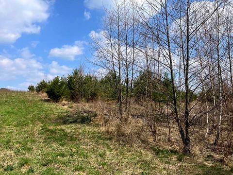 участок по адресу 