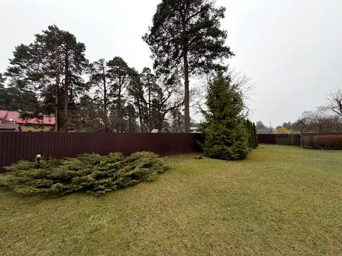 участок по адресу Сосновая Поляна ул., 4