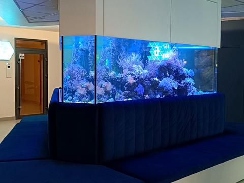 квартира за адресою Фонтанська дорога вул. (Перекопской дивизии улица), (Будинок 2)