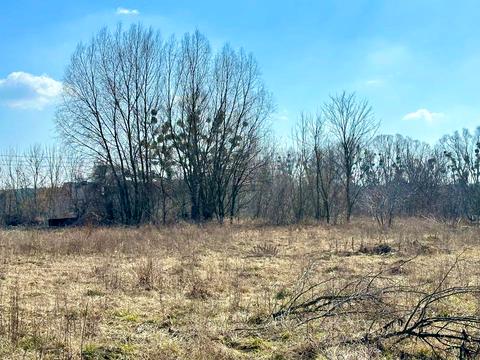 участок по адресу Первомайская ул.