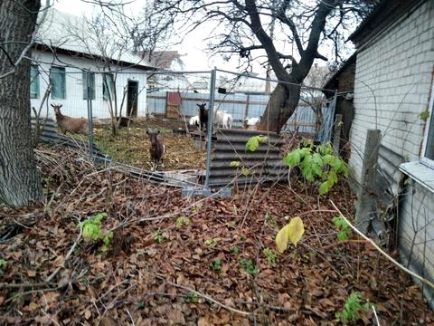 ділянка за адресою Благодатна