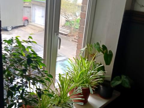 квартира за адресою Платона Майбороди вул. (Мануїльського), 23