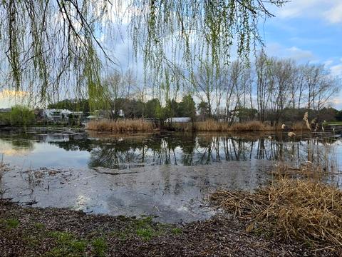 участок по адресу Ветряная