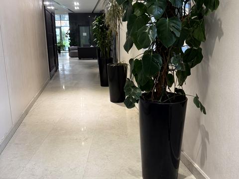 квартира за адресою Джона Маккейна вул. (Івана Кудрі), 7