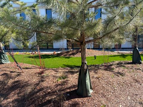 будинок за адресою Світанкова