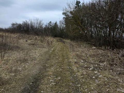 ділянка за адресою Вишнева