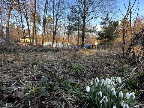 участок по адресу Тюльпановая ул. (Красноармейская), 17-А