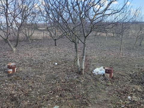 будинок за адресою Дорошенка