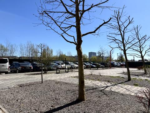 квартира за адресою Балукова вул., (Будинок 1)