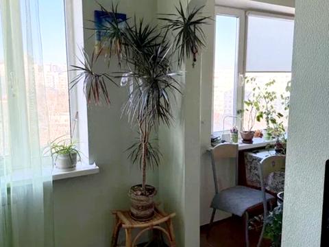 квартира по адресу Приречная ул., 27