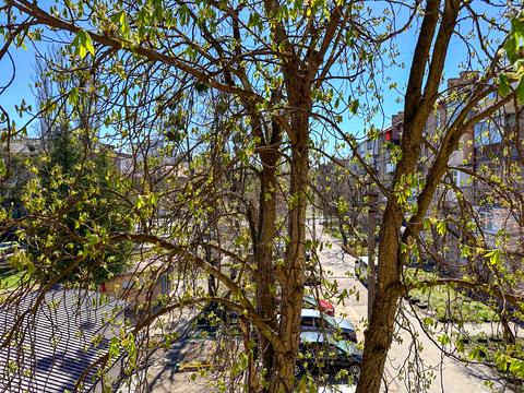 квартира за адресою Павла Вірського бульв. (Саратівська), 16