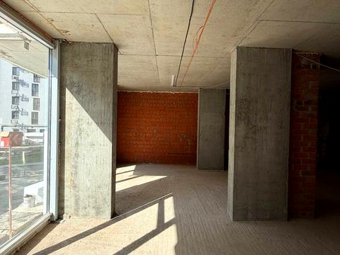 комерційна за адресою Малоголосківська вул., (Будинок)