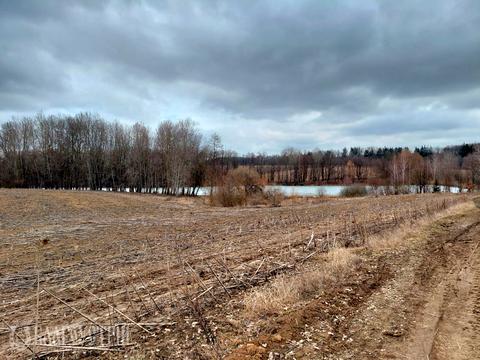 ділянка за адресою Степова