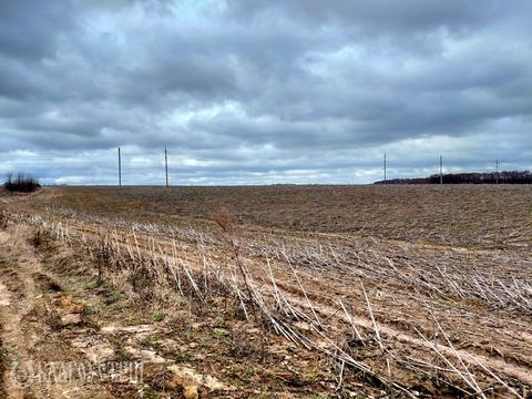 участок по адресу Степова