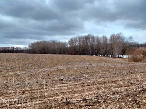 участок по адресу Степова