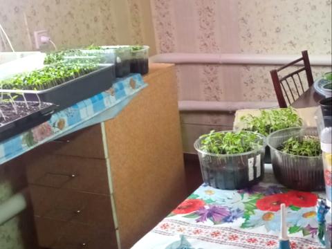 дом по адресу Нечуя-Левицкого ул., 4