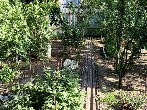 дом по адресу Планетна ул.