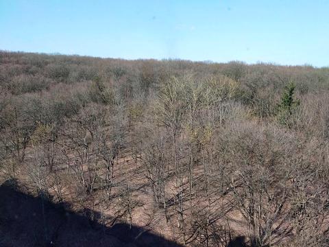 квартира по адресу Лісогринівецька ул., 26/3