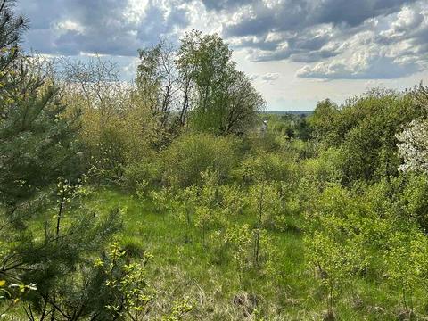 участок по адресу Соснова, 7