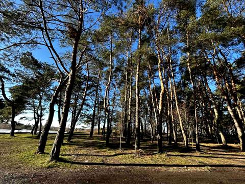 участок по адресу Соснова, 7