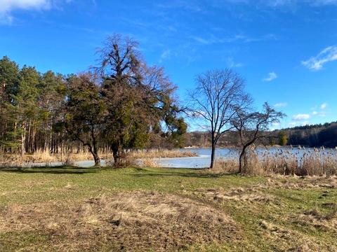 участок по адресу Шевченка