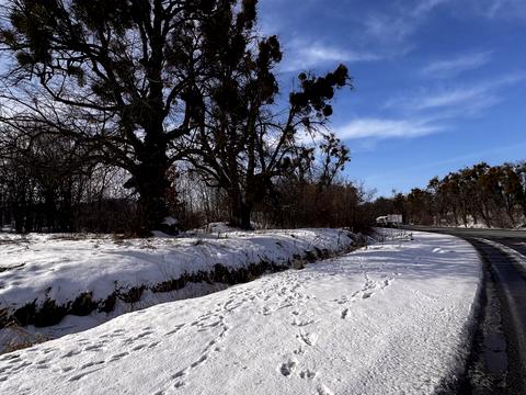 ділянка за адресою 