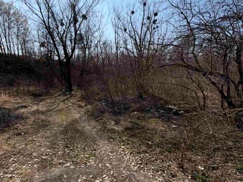 участок по адресу провулок Горобіївський