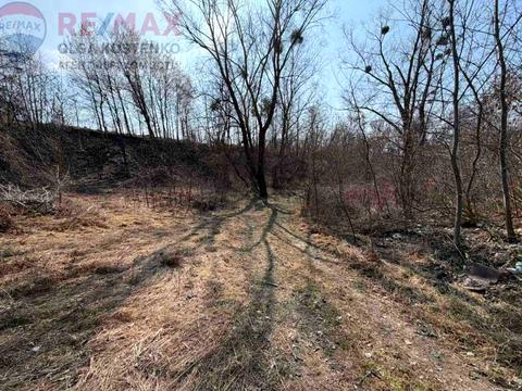 участок по адресу провулок Горобіївський