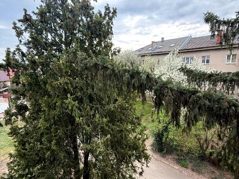 квартира по адресу Щедрина ул., 5