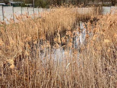 участок по адресу с. Юровка, зелена