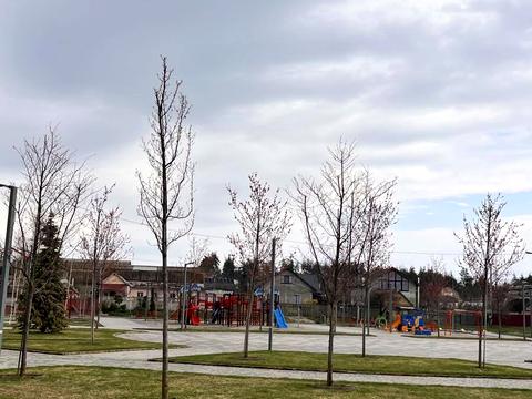 участок по адресу с. Юровка, зелена