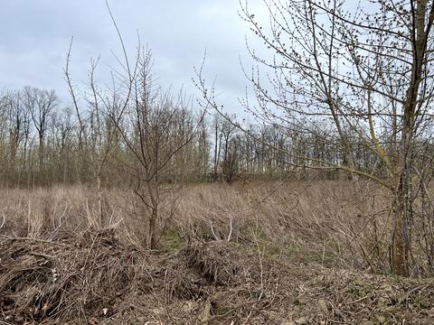 ділянка за адресою 