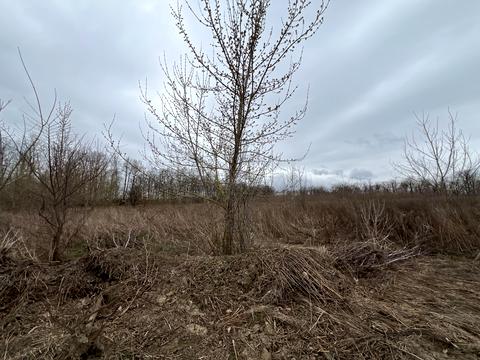 ділянка за адресою 