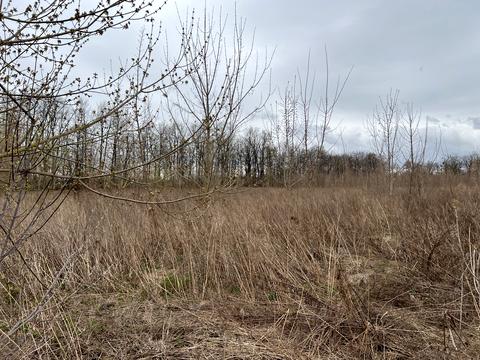 ділянка за адресою 