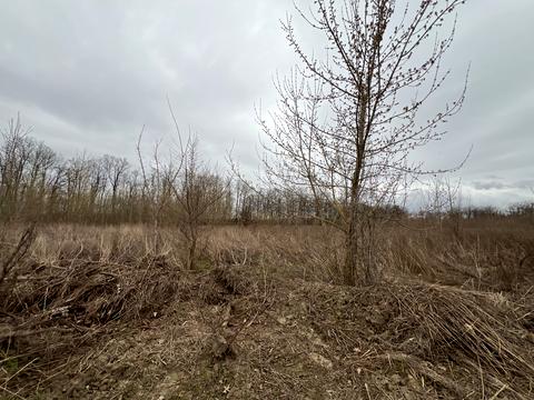 ділянка за адресою 