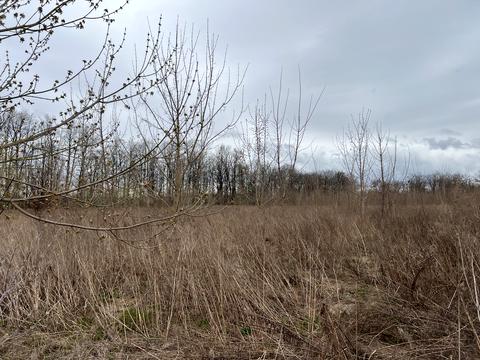 ділянка за адресою 