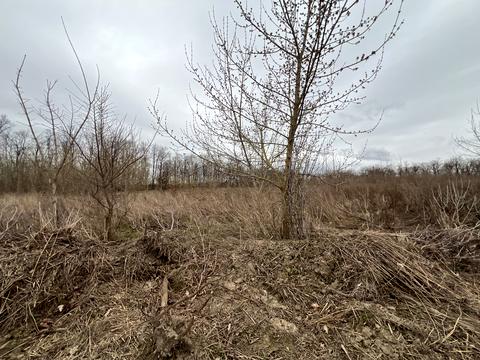 ділянка за адресою 