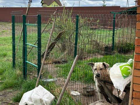 будинок за адресою Подильна