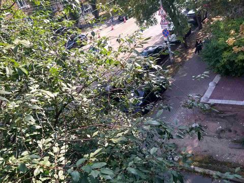 квартира за адресою Лесі Українки бульв., 30