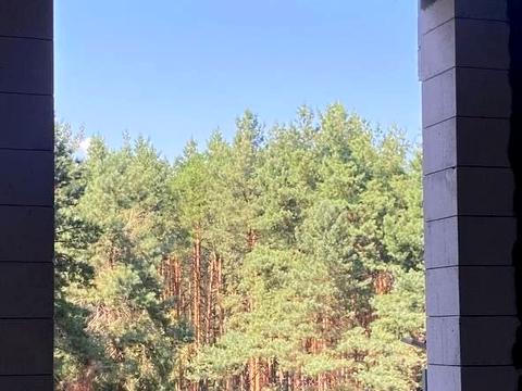 квартира по адресу Кургузова ул., (Будинок)