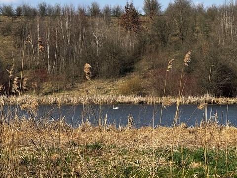 будинок за адресою Зарічна