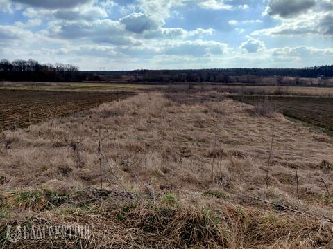 ділянка за адресою Шевченка вул.