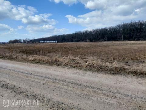 ділянка за адресою Шевченка вул.