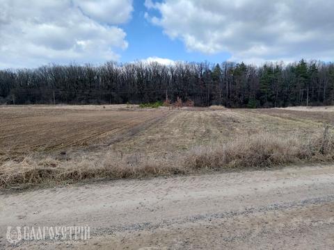 ділянка за адресою Шевченка вул.